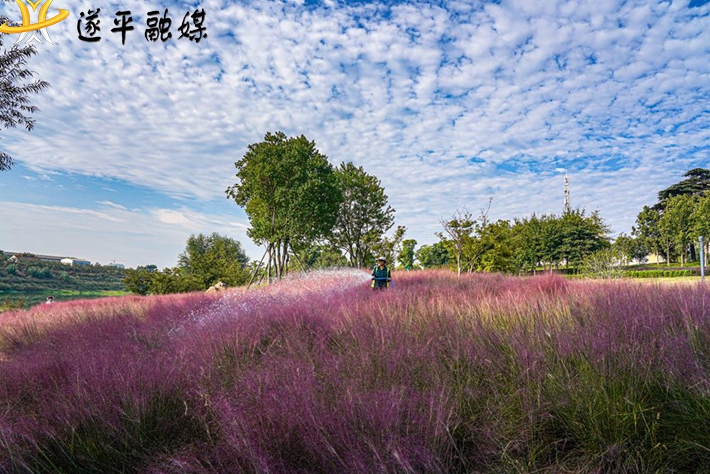 園丁養(yǎng)護.jpg