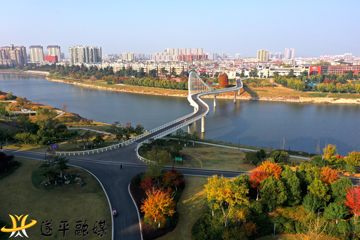 圓夢(mèng)橋.png