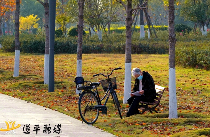 老人在公園讀報(bào).jpg