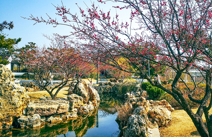 紅梅報(bào)春.jpg