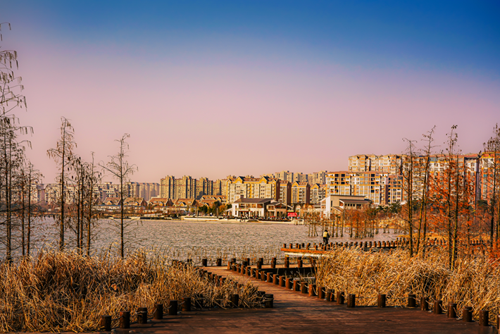 d791c5ddd1e34530808a0ae795be91f8.png