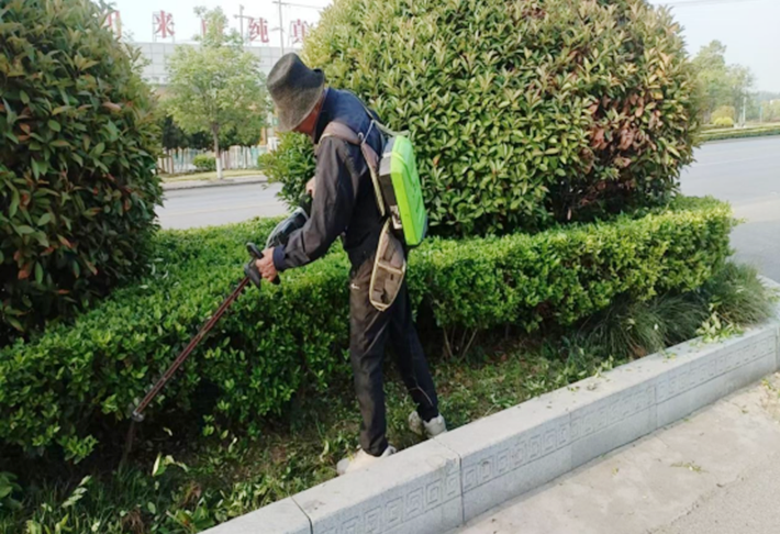 強(qiáng)化精細(xì)化管理程度 提升綠化養(yǎng)護(hù)水平(1)105.png