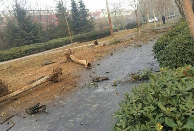 鄭州瑪莎拉蒂街頭報(bào)廢  疑似飆車撞斷燈桿行道樹(shù)