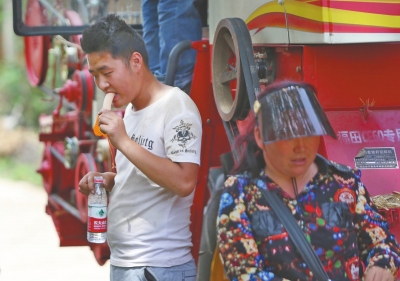 迎烈日、睡麥地 現(xiàn)代“麥客”淘金路