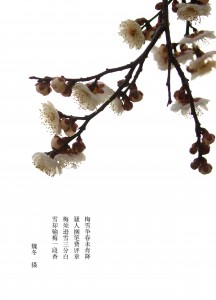 3U4A0041222222副本