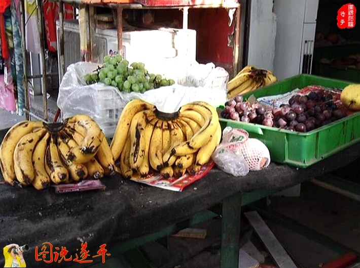 圖為:該副食店環(huán)境臟亂差,所售水果上蚊蠅亂飛。