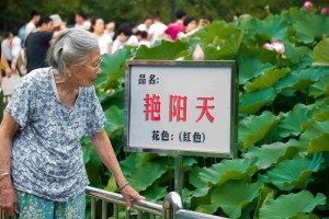 《艷陽(yáng)天》_DSC7464
