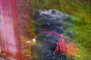 沉醉于風(fēng)中 (4)